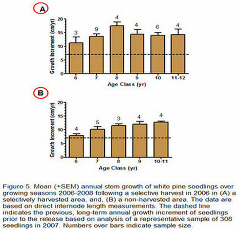 Figure的經(jīng)驗建議