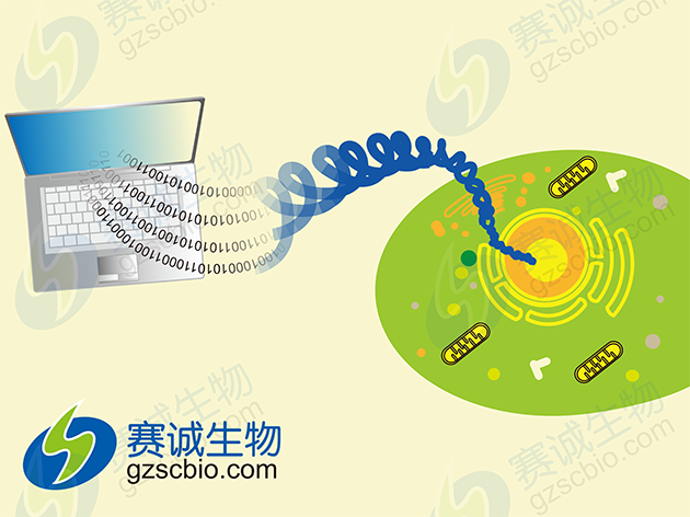 生物信息學(xué)