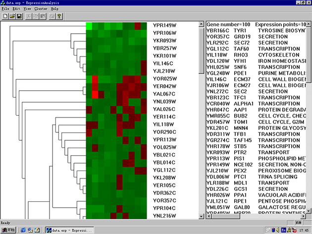 聚類(lèi)分析結果樹(shù)圖