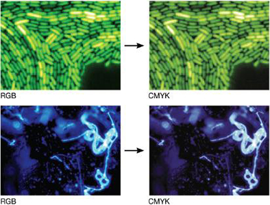 彩色Figure中顏色模式的區別