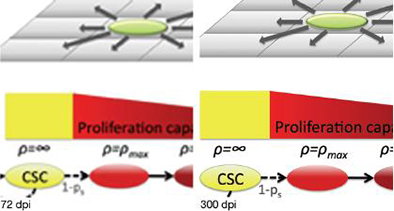Figure中分辨率的影響