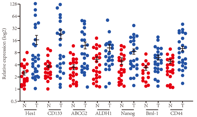 qPCR分析基因表達水平