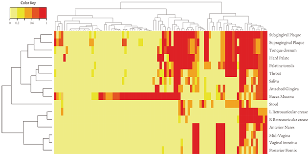基因表達熱圖和聚類(lèi)分析