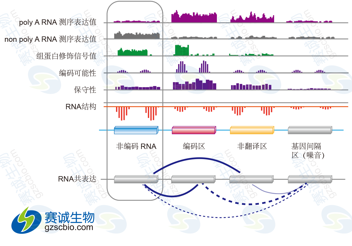 利用數據整合對lncRNA進(jìn)行鑒定.png 利用數據整合對lncRNA進(jìn)行鑒定.png