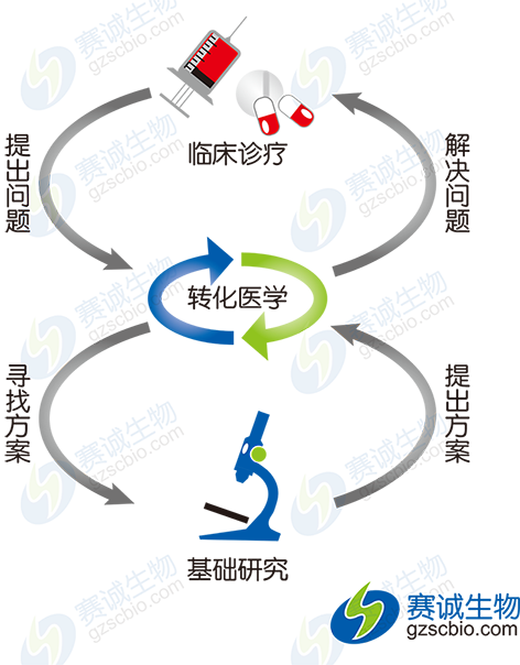 轉化醫學(xué)模式示意圖.png