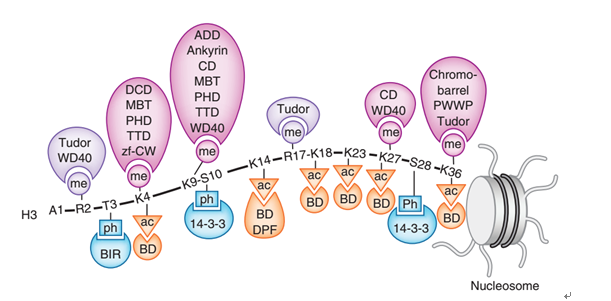 1542248161765079336.png BFO_5%~5L2%)U9)WRW08%AG.png