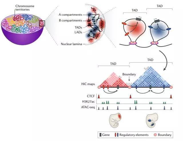 1542273754011013132.jpeg SV1.jpeg