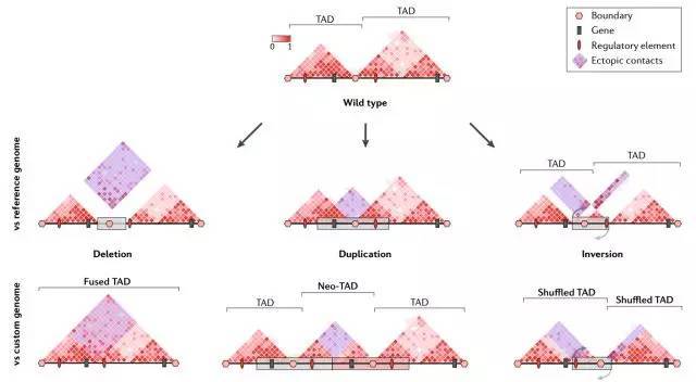 1542273788254091777.jpeg SV2.jpeg