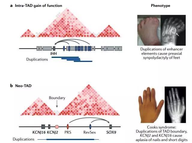 1542273816176053451.jpeg SV3.jpeg