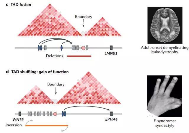 1542273852210009115.jpeg SV4.jpeg