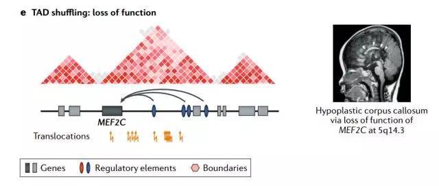 1542273866709012772.jpeg SV5.jpeg
