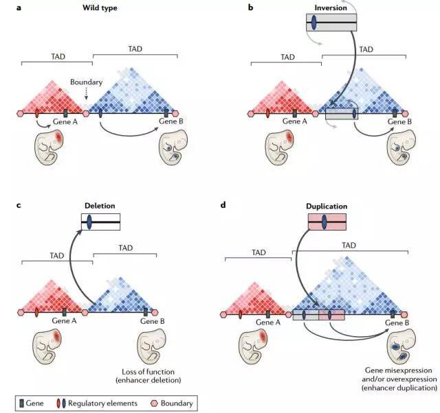 1542273905947083294.jpeg SV6.jpeg