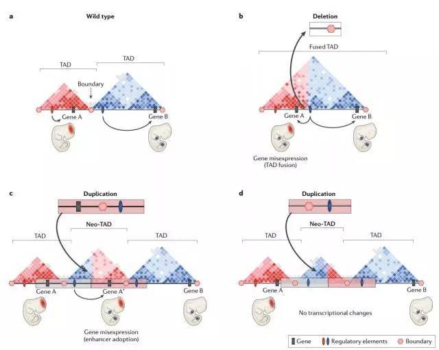 1542273926859045904.jpeg SV7.jpeg