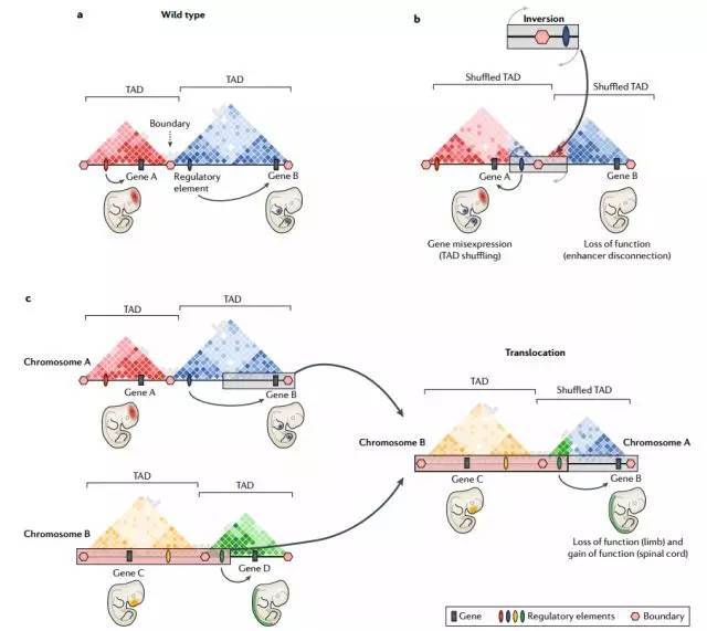 1542273944849011298.jpeg SV8.jpeg