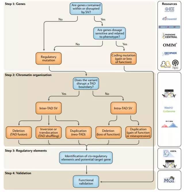 1542273956325090281.jpeg SV9.jpeg