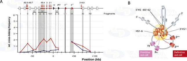 1543559241386041293.jpg F33.jpg