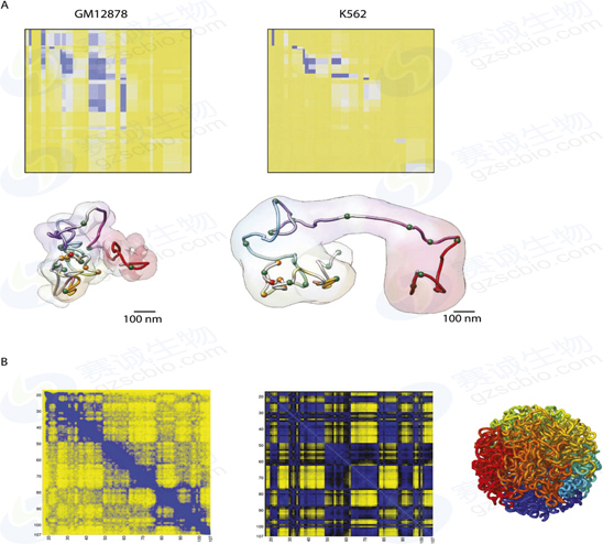 1543559306847031812.jpg F55.jpg