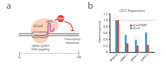 3.2.2dCas9 基因激活與抑制系統②.png