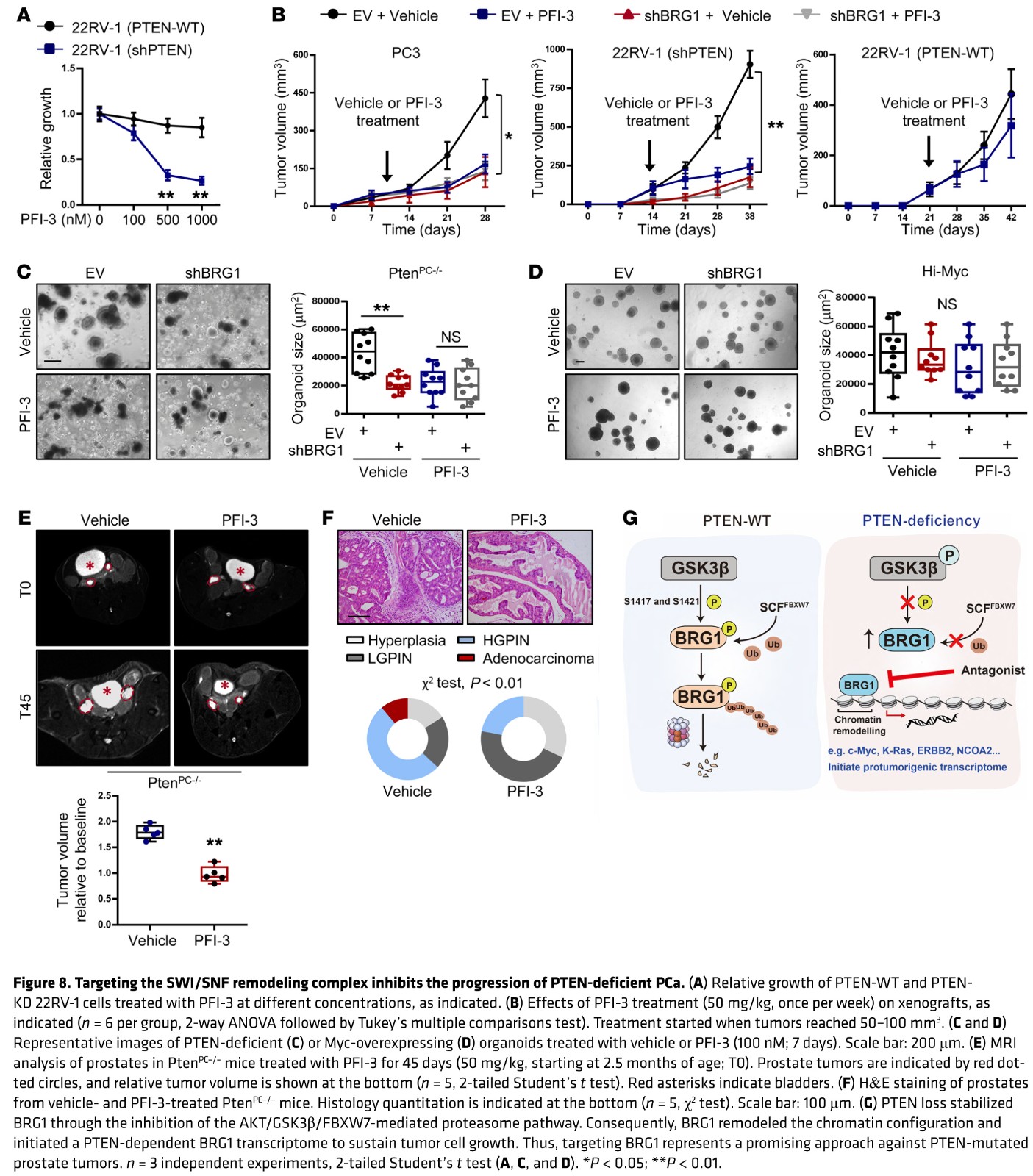 1584156408373084263.jpg fig 8.jpg